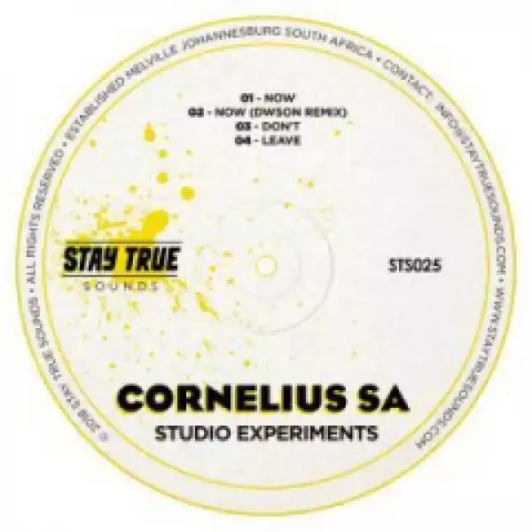 Cornelius SA - Now (Dwson Remix)